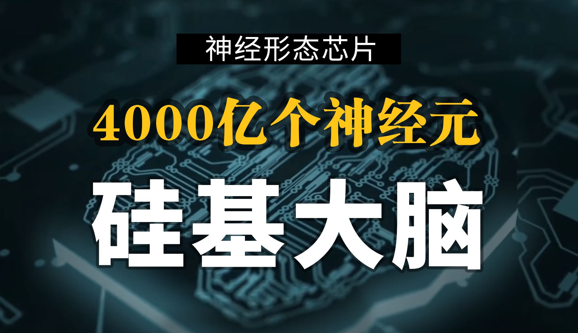 功耗相差10000倍，类脑计算是啥？【硬核揭秘】神经形态芯片